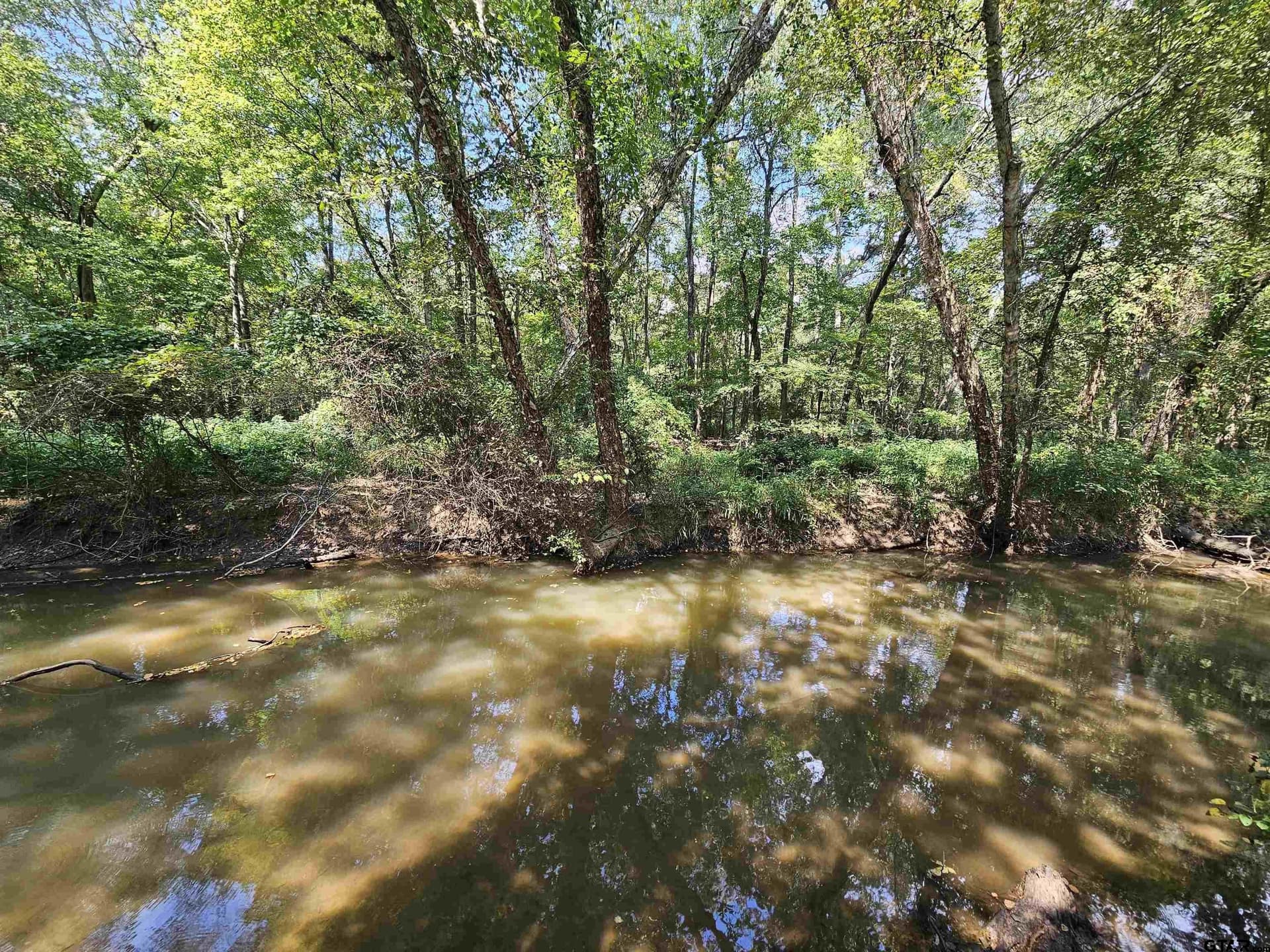 123.79 acres in Smith County - photo 17