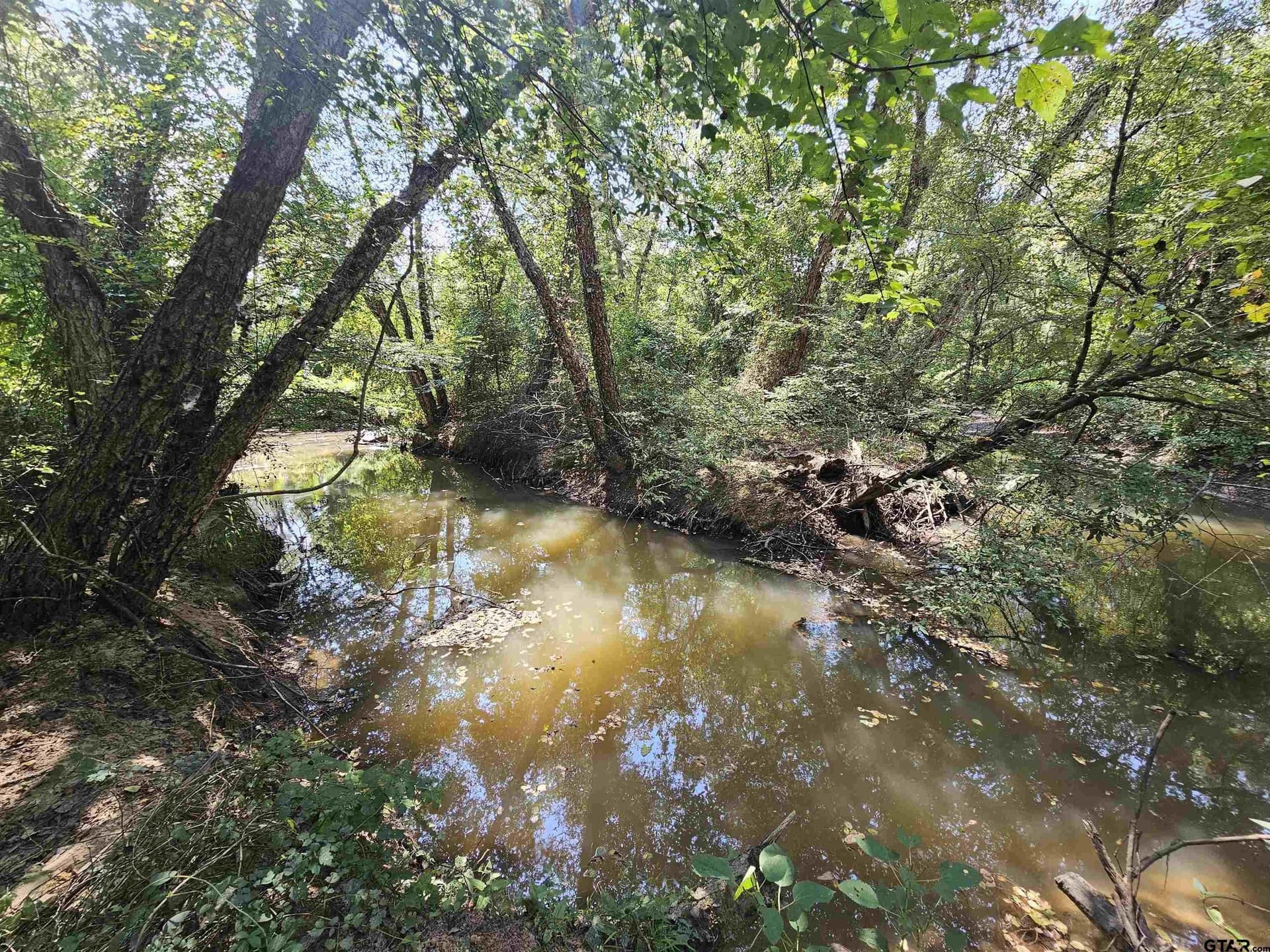 123.79 acres in Smith County - photo 19