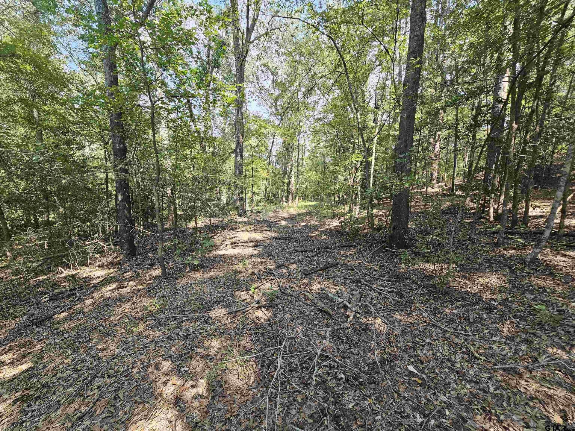 123.79 acres in Smith County - photo 10