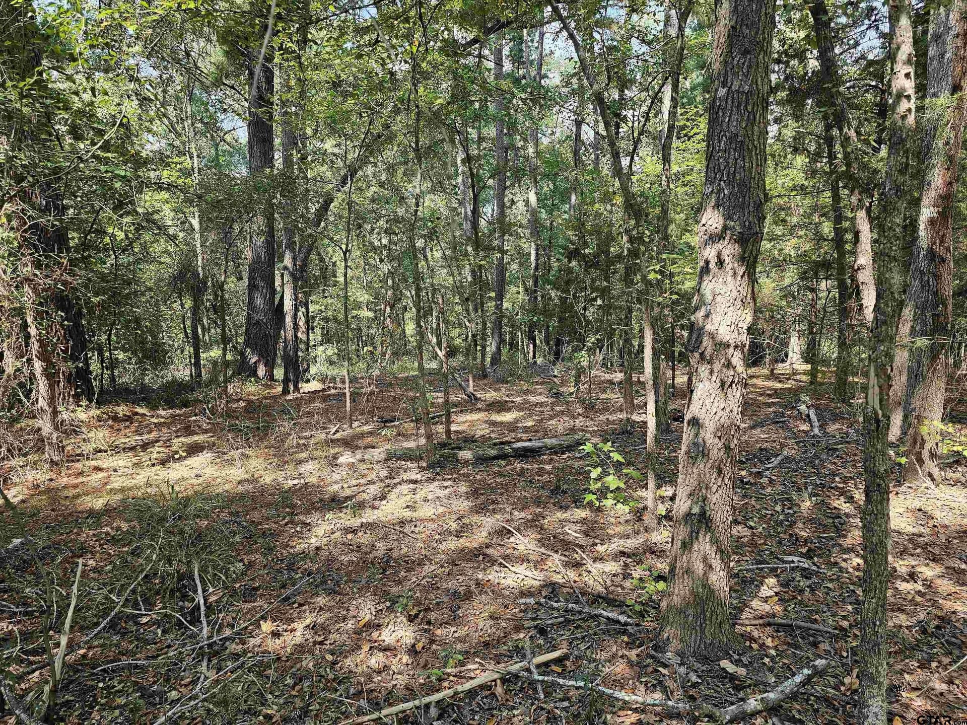 123.79 acres in Smith County - photo 5