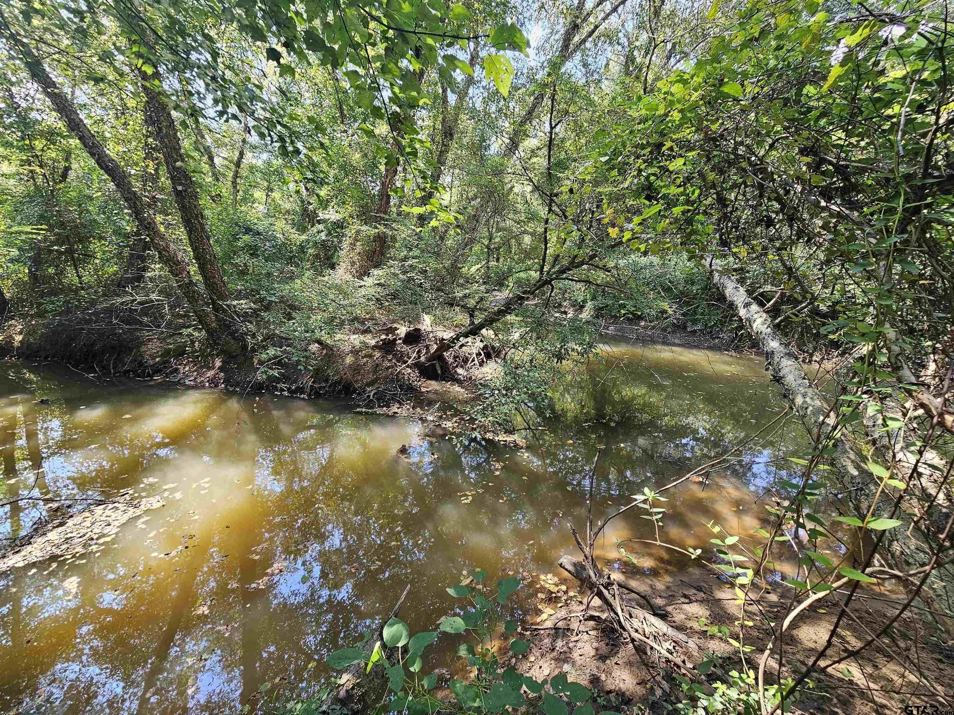 123.79 acres in Smith County - photo 18