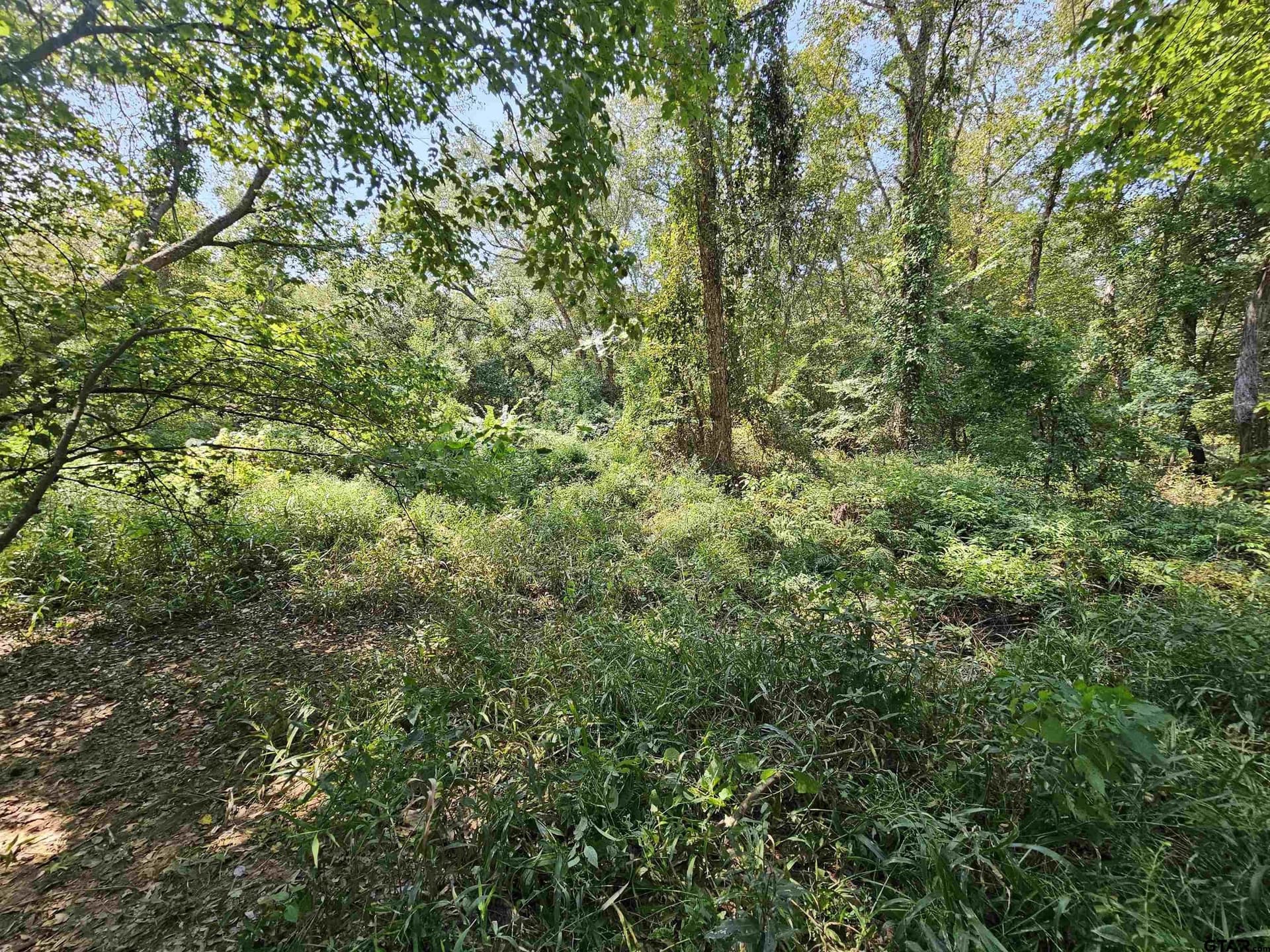 123.79 acres in Smith County - photo 11