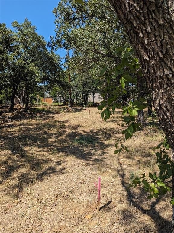 14.5 acres in Wise County - photo 2