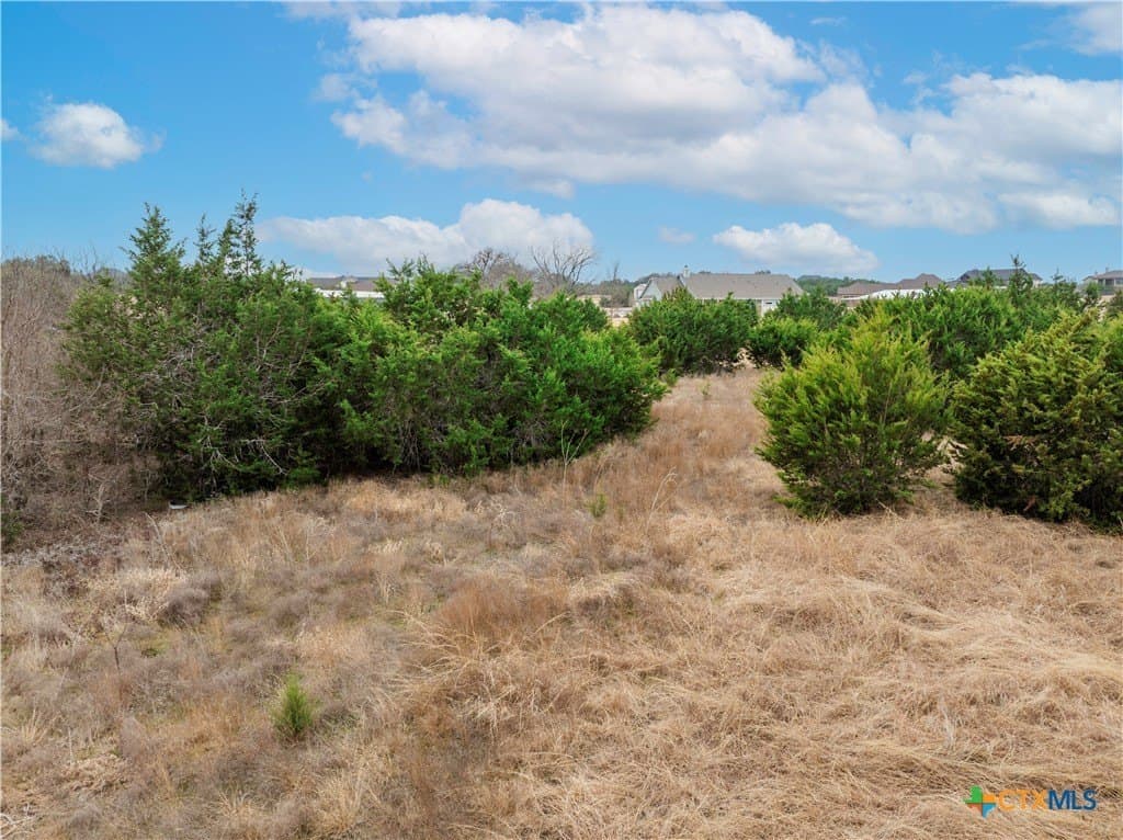 2.03 acres in Williamson County - photo 11