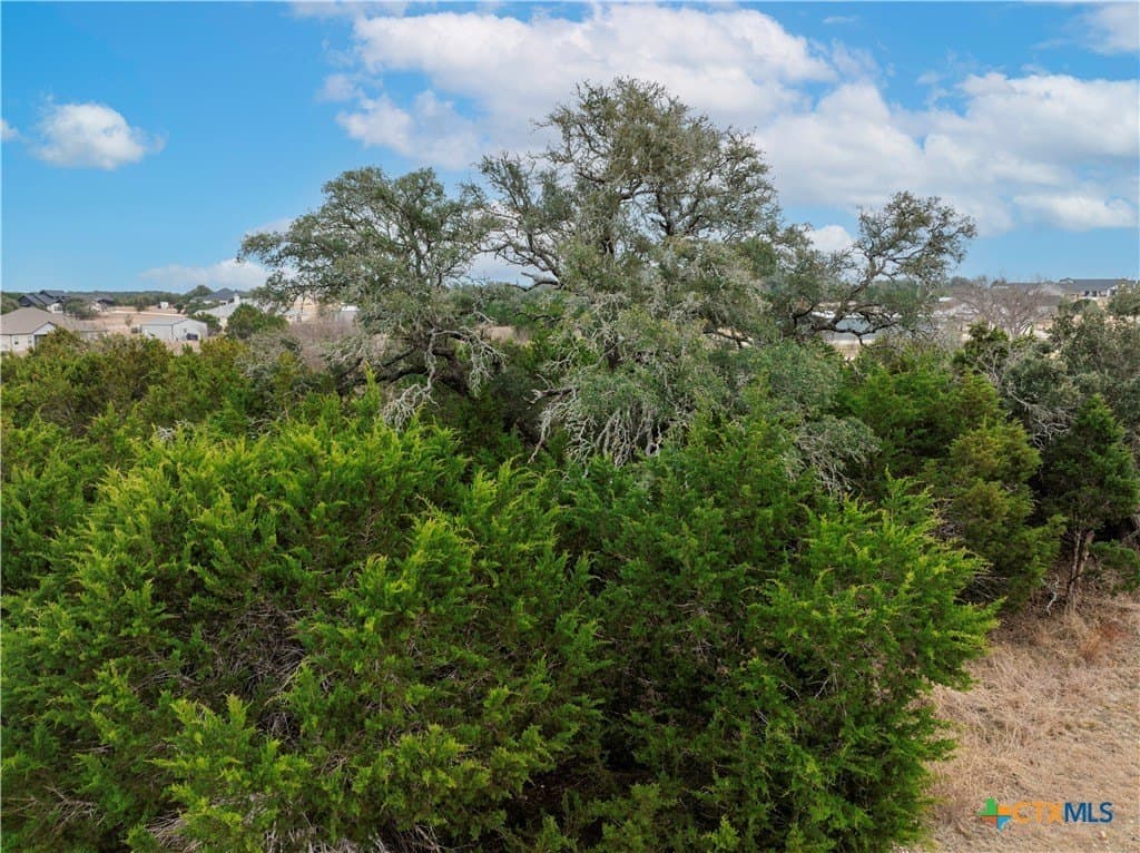 2.03 acres in Williamson County - photo 10