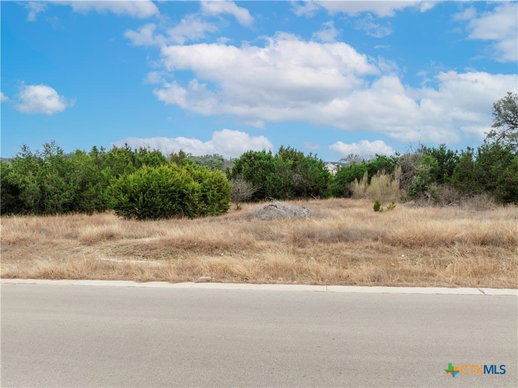 2.03 acres in Williamson County - photo 5