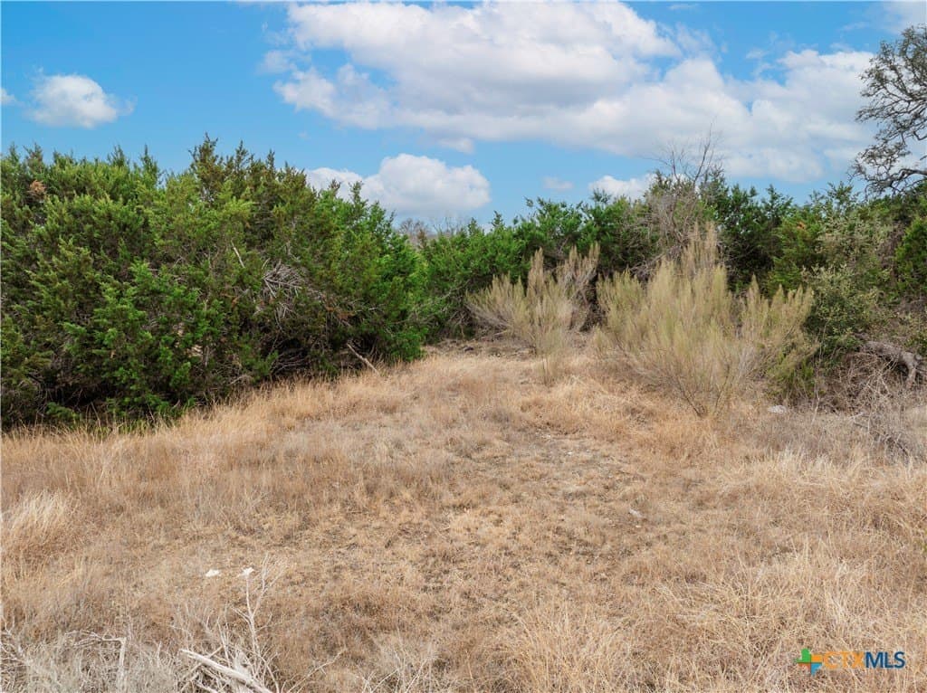 2.03 acres in Williamson County - photo 6