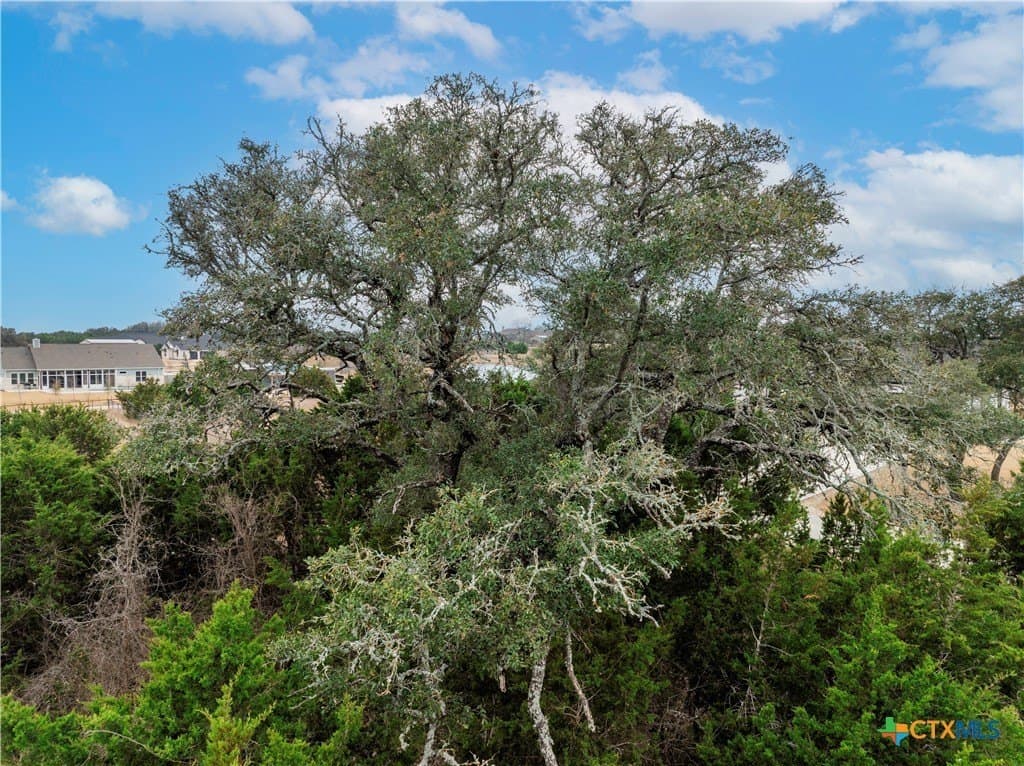 2.03 acres in Williamson County - photo 9