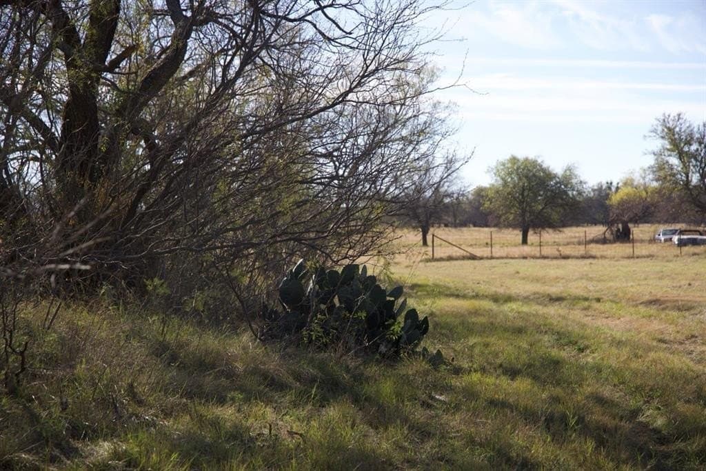87 acres in Young County - photo 11