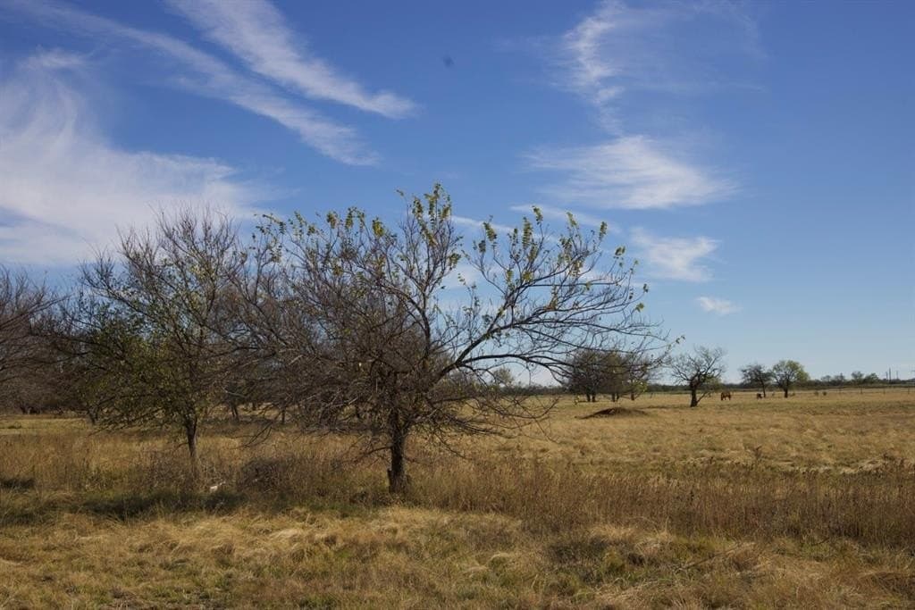 87 acres in Young County - photo 19