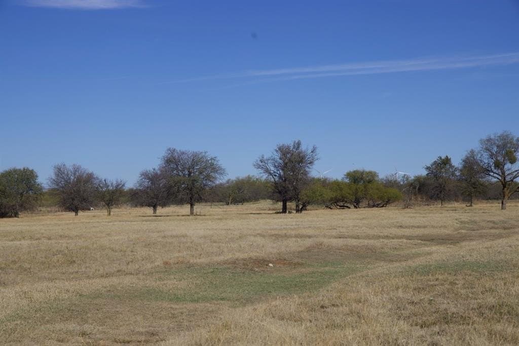 87 acres in Young County - photo 29