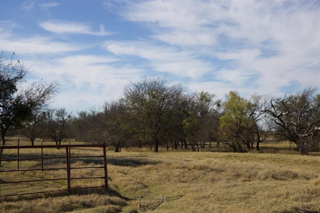 87 acres in Young County - photo 26