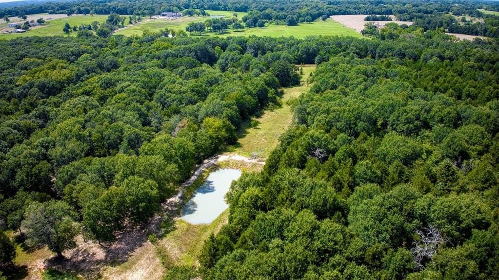 10.84 acres in Kaufman County - photo 38