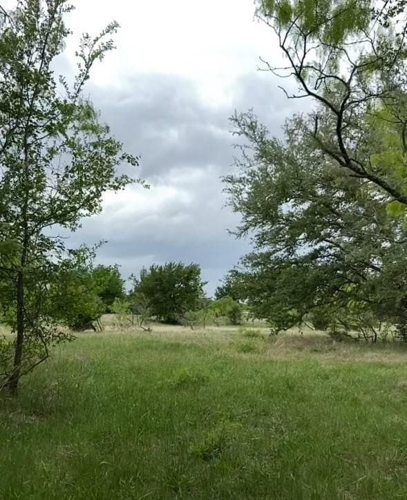 10.26 acres in Hill County - photo 4