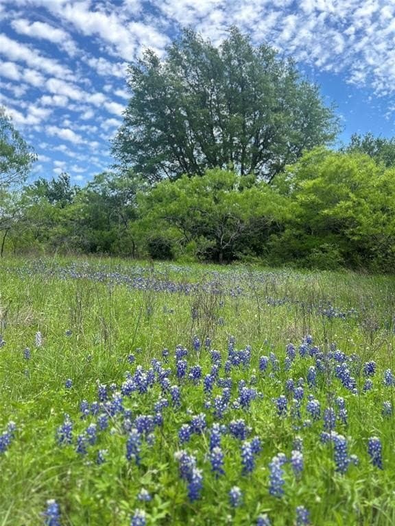 10.26 acres in Hill County - photo 3