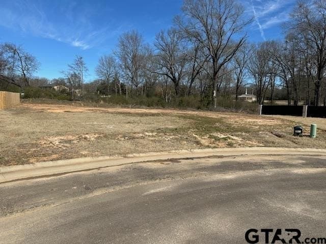 0.46 acres in Titus County - photo 2