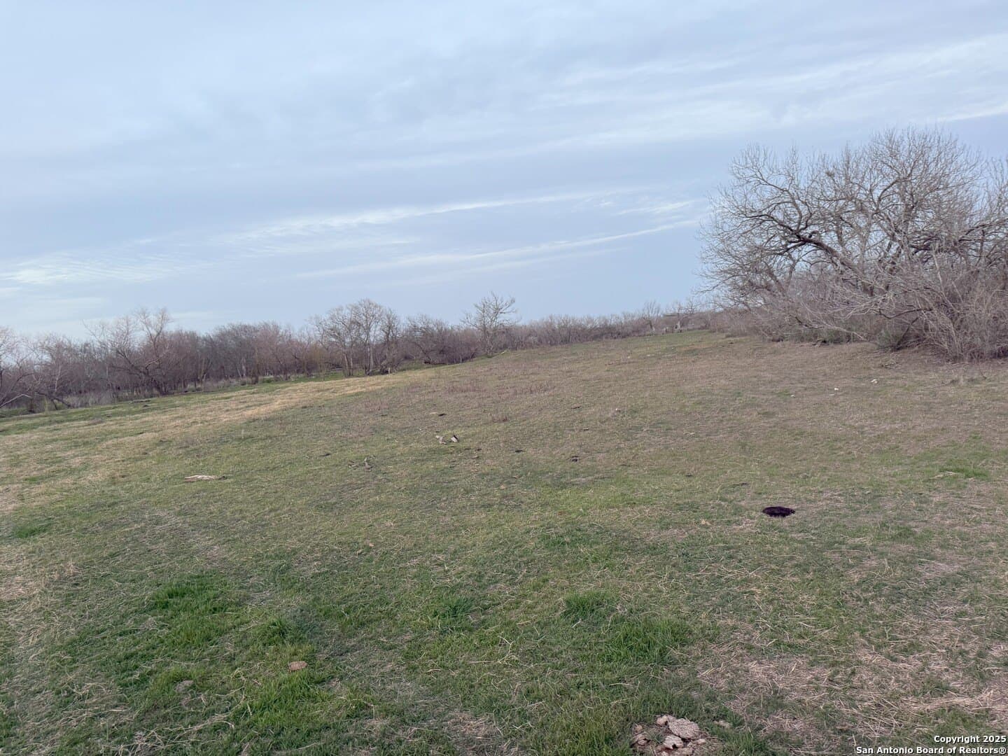 75.07 acres in Bexar County - photo 14
