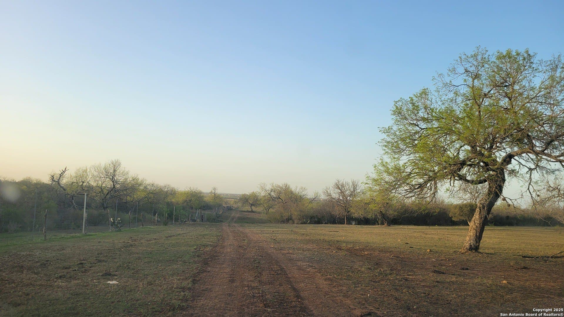75.07 acres in Bexar County - photo 8