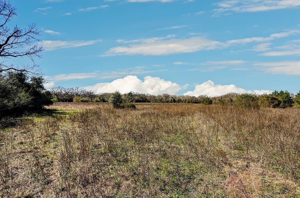 25.13 acres in Waller County - photo 3