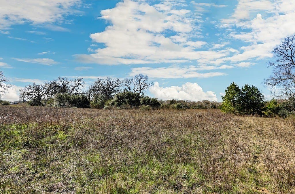 25.13 acres in Waller County - photo 4