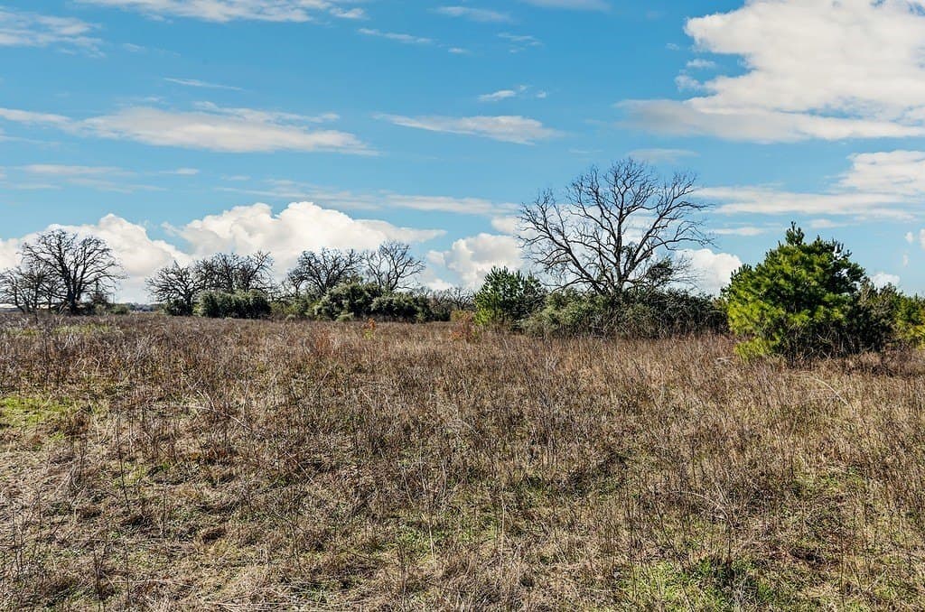 25.13 acres in Waller County - photo 5