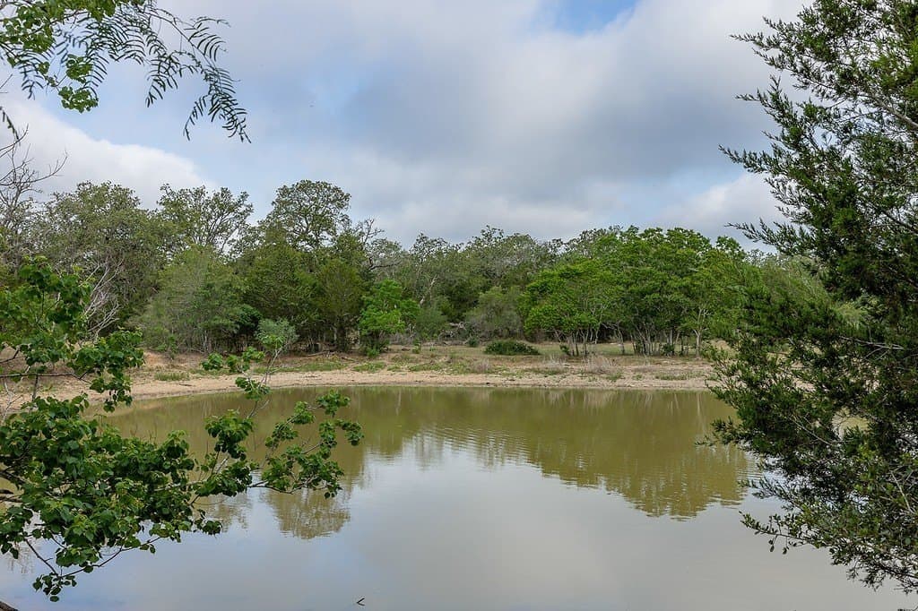 263.24 acres in Lavaca County - photo 2