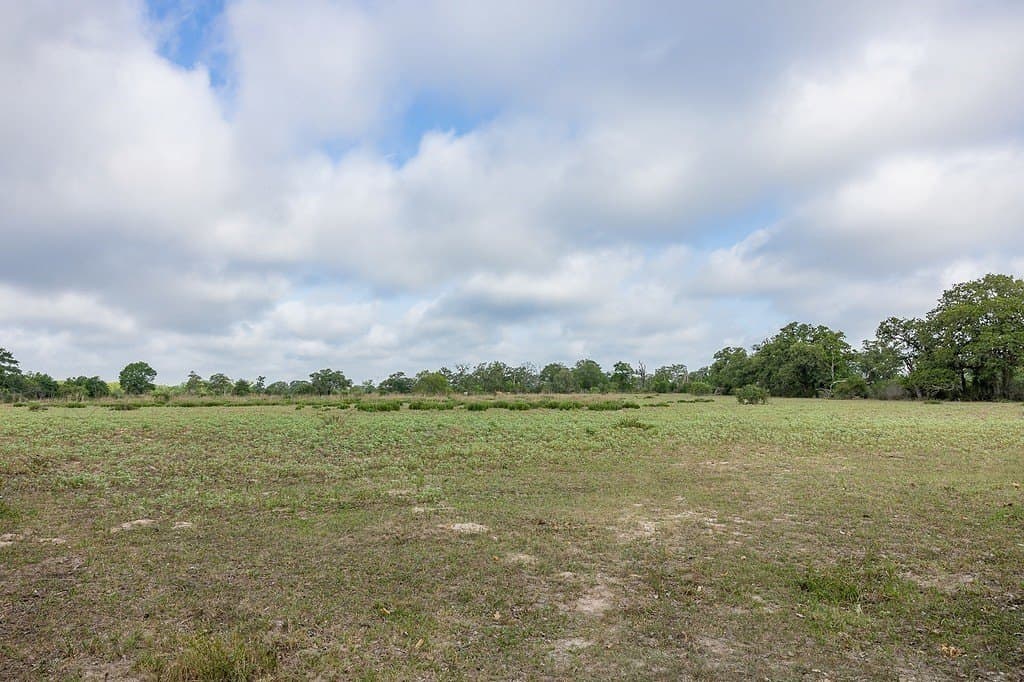 263.24 acres in Lavaca County - photo 12