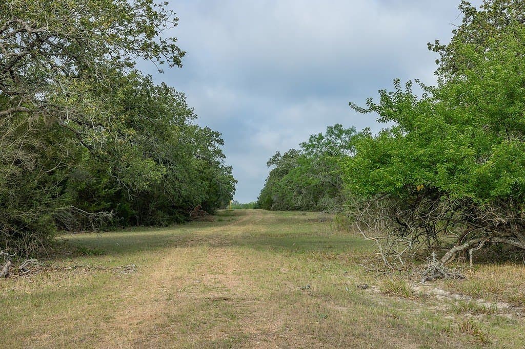 263.24 acres in Lavaca County - photo 20