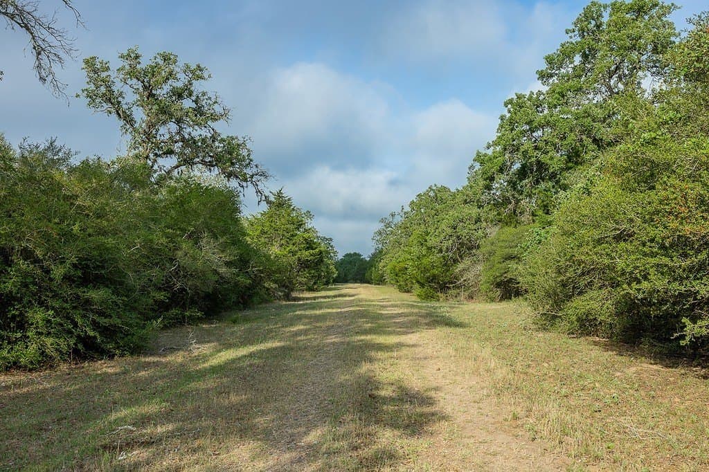 263.24 acres in Lavaca County - photo 3
