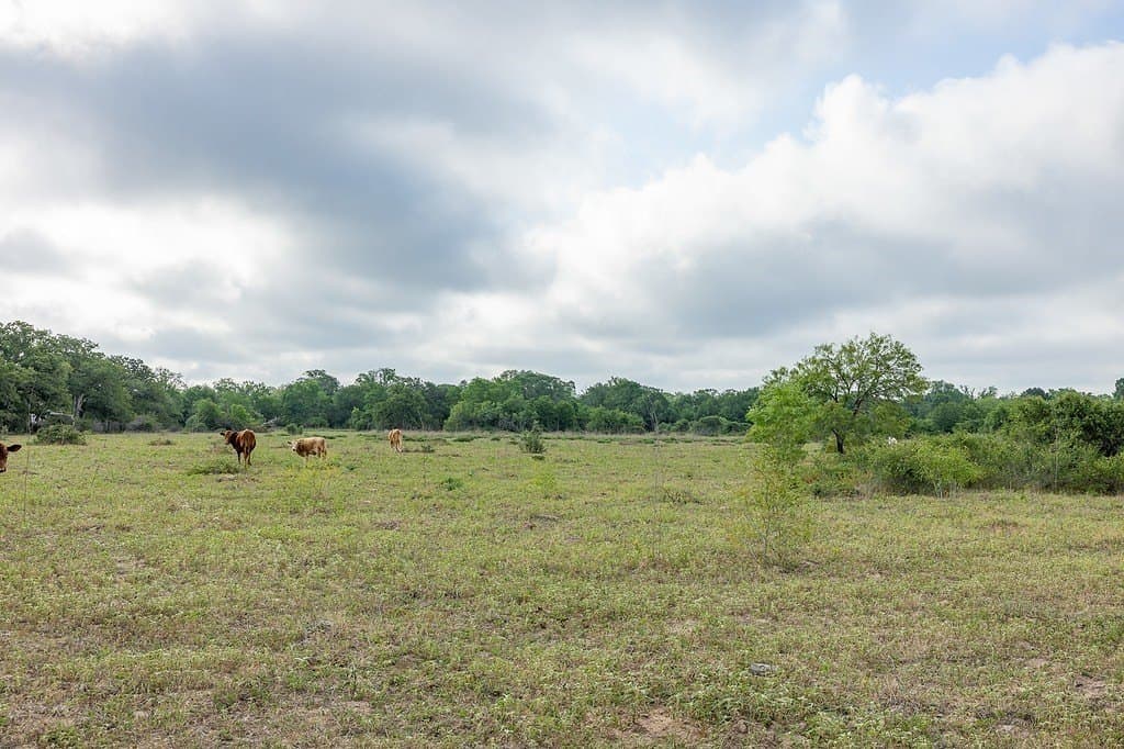 263.24 acres in Lavaca County - photo 8