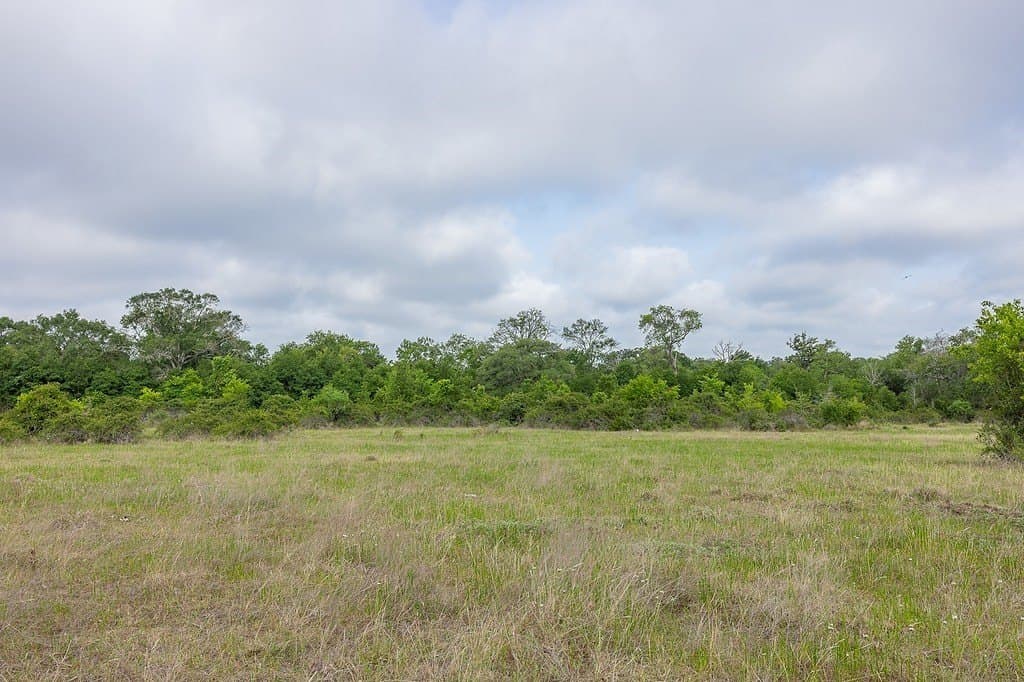 263.24 acres in Lavaca County - photo 16
