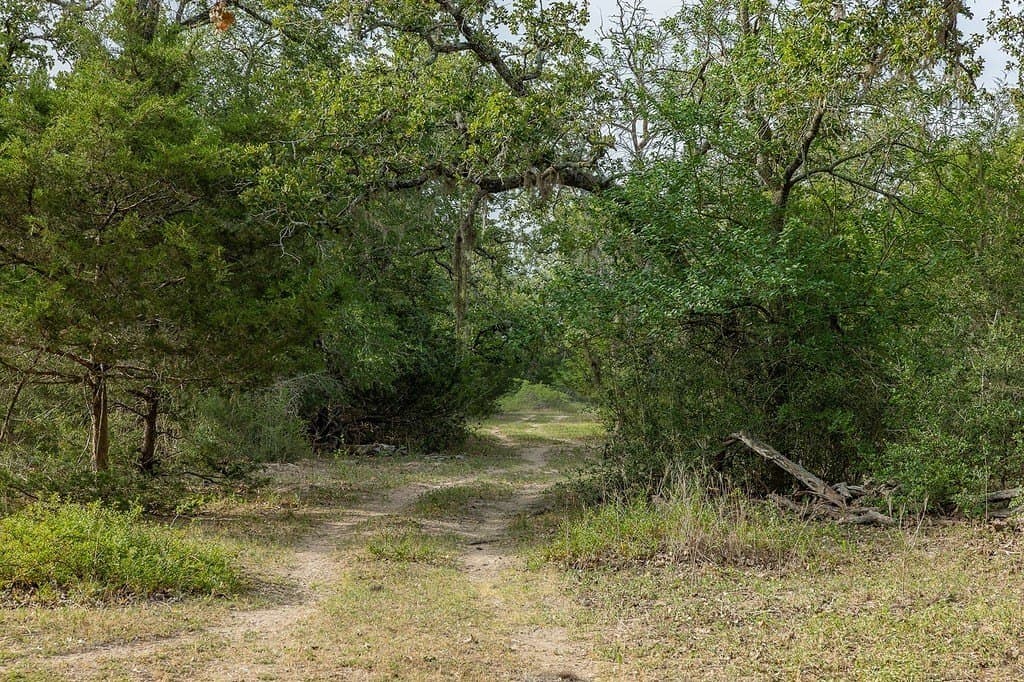 263.24 acres in Lavaca County - photo 5