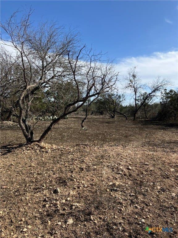 3.03 acres in Real County - photo 2