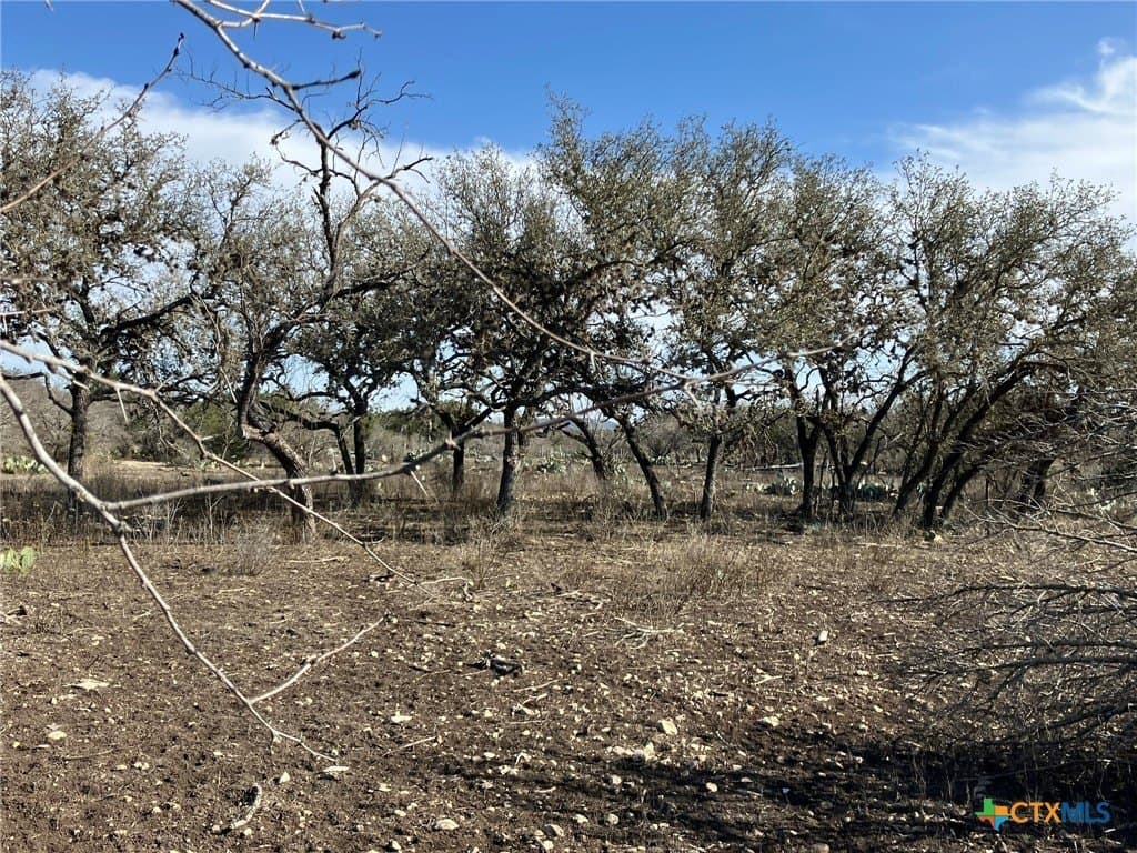 3.03 acres in Real County - photo 5