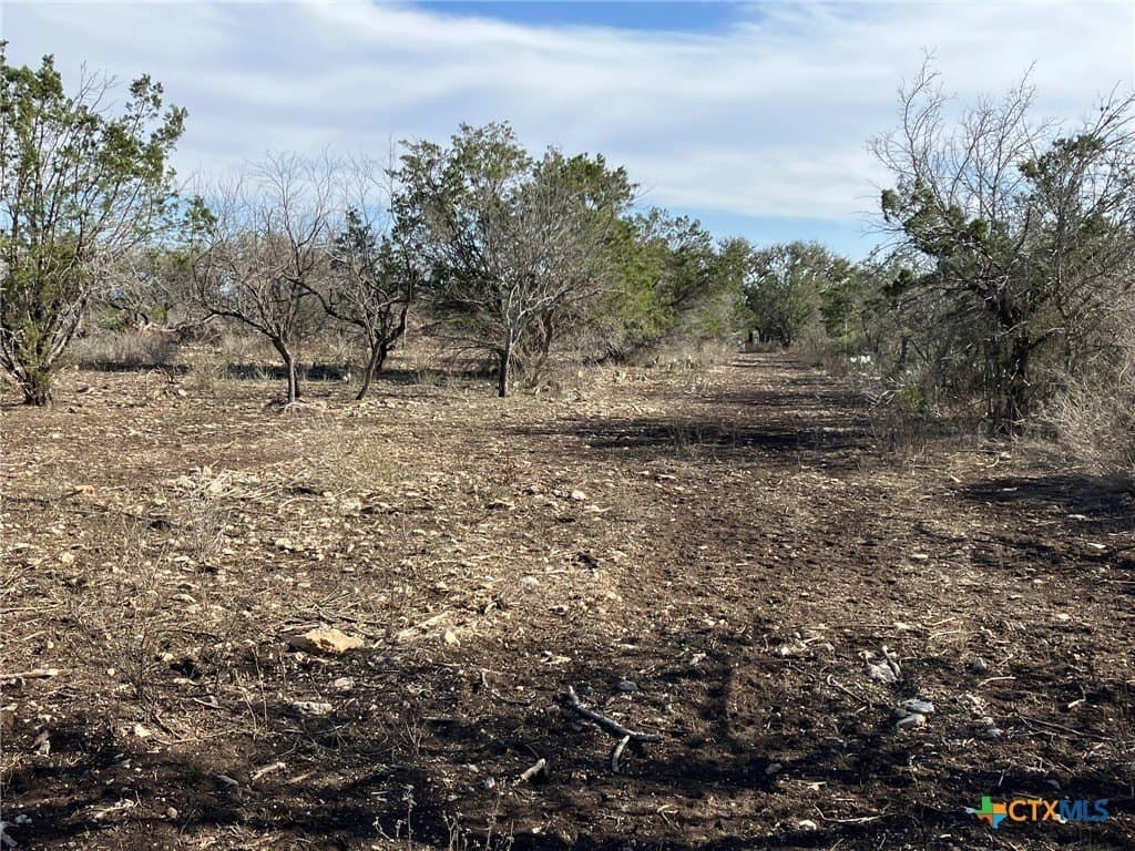 3.03 acres in Real County - photo 4
