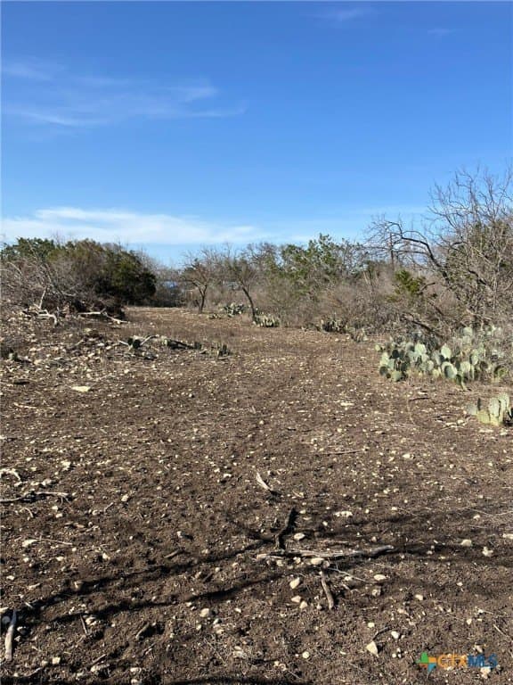 3.03 acres in Real County - photo 6