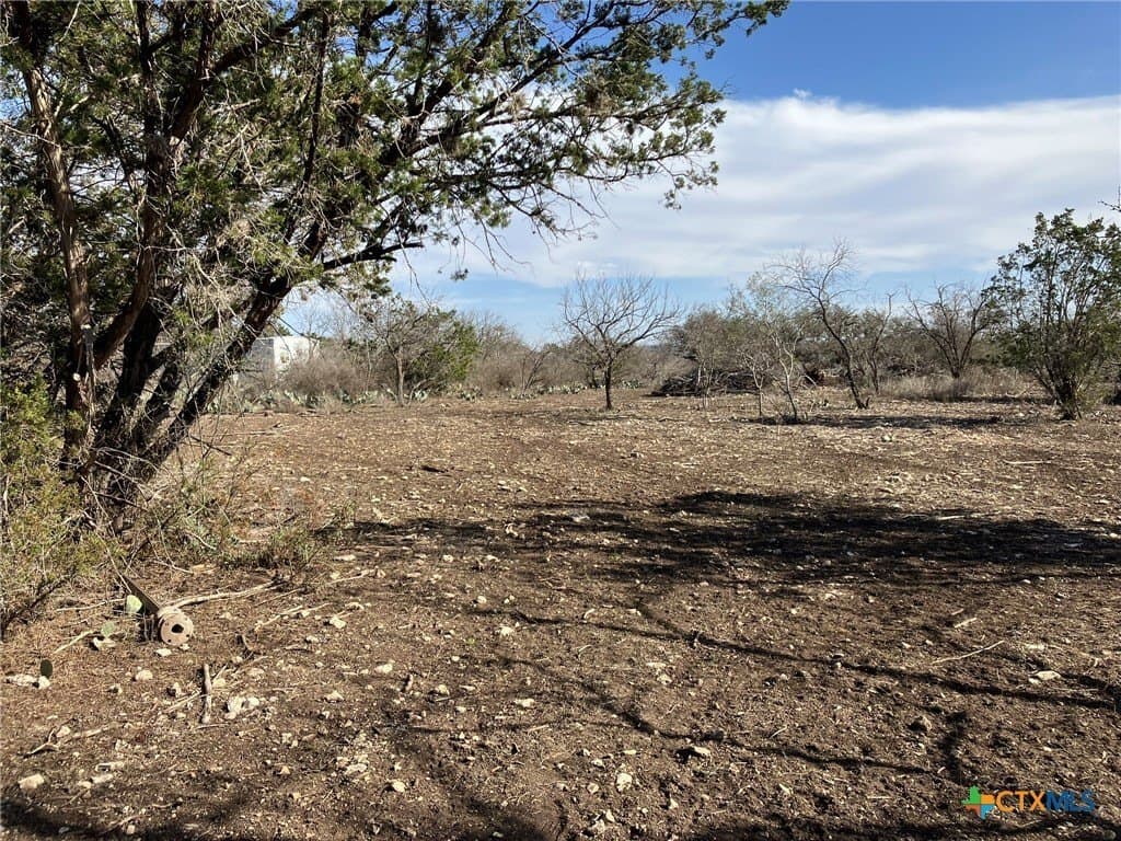 3.03 acres in Real County - photo 3