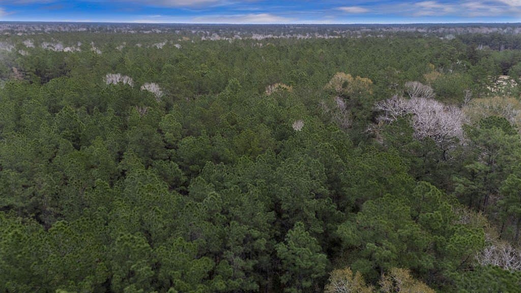 12.4 acres in Texas County - photo 5