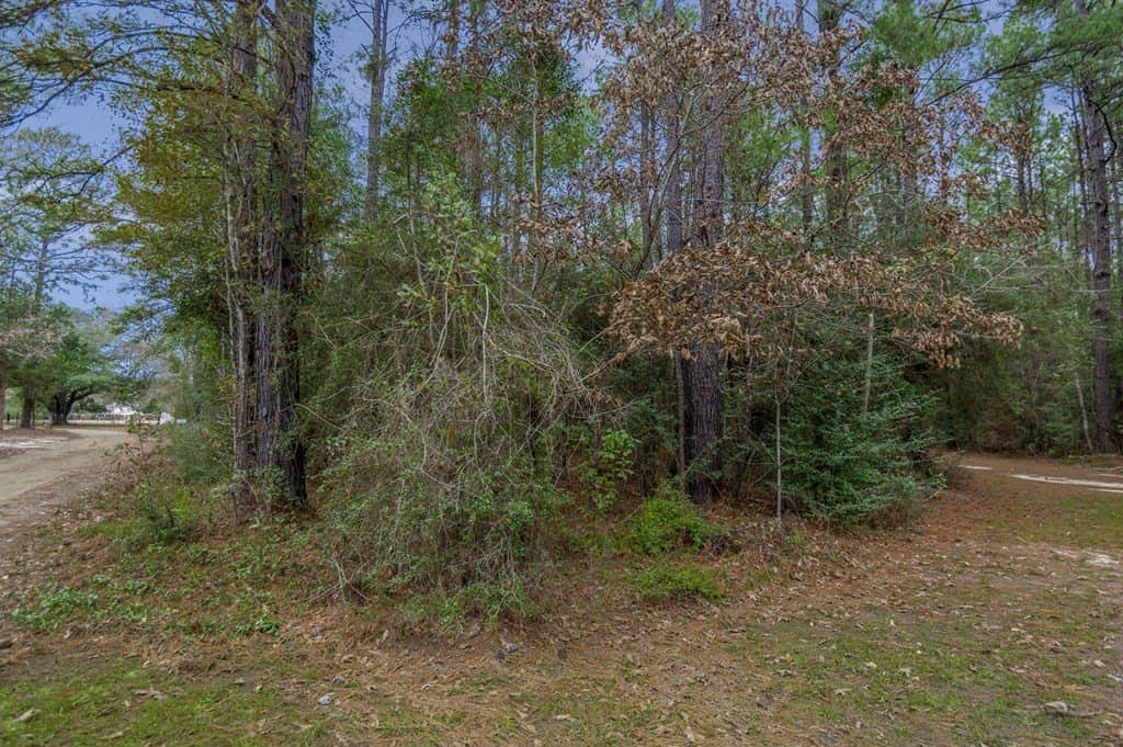 12.4 acres in Texas County - photo 6