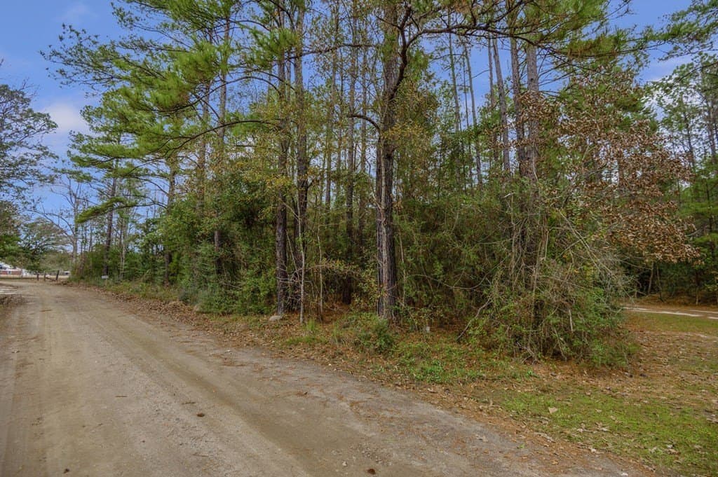 12.4 acres in Texas County - photo 8