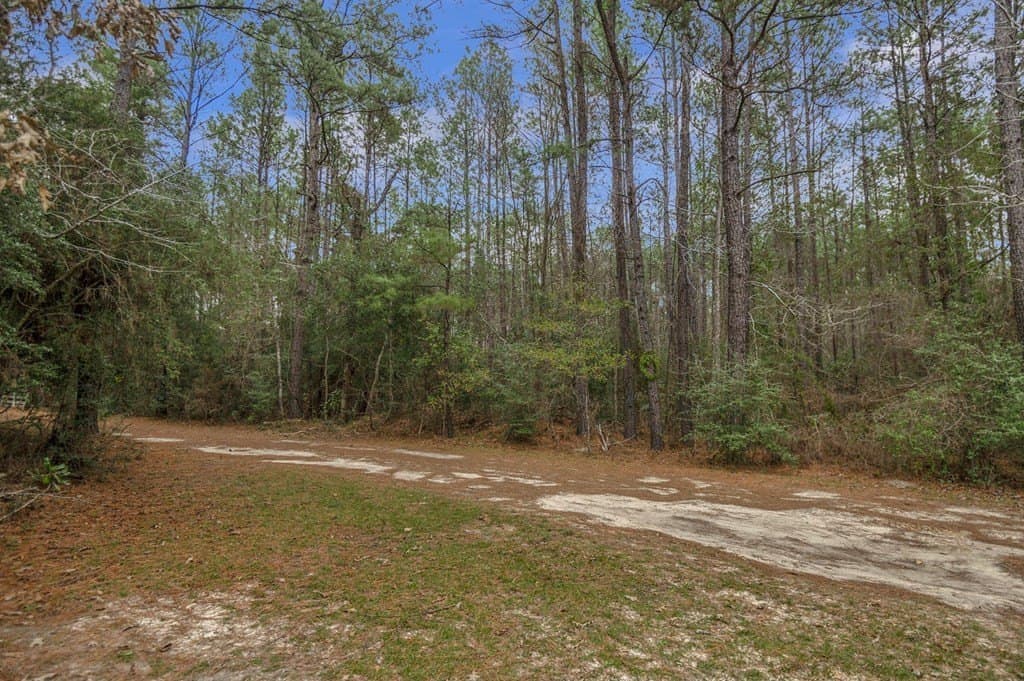 12.4 acres in Texas County - photo 7