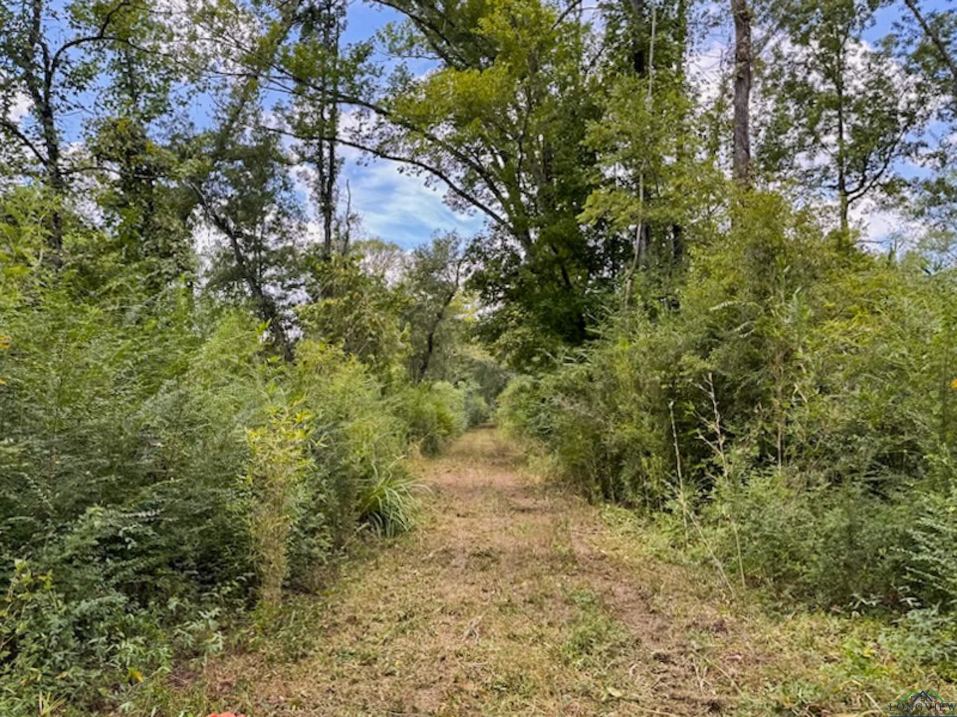 50.18 acres in Texas County - photo 39