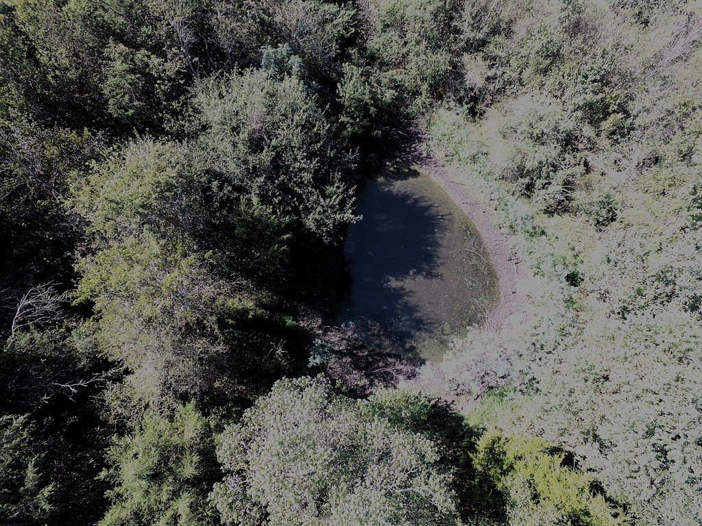 10.67 acres in Washington County - photo 6