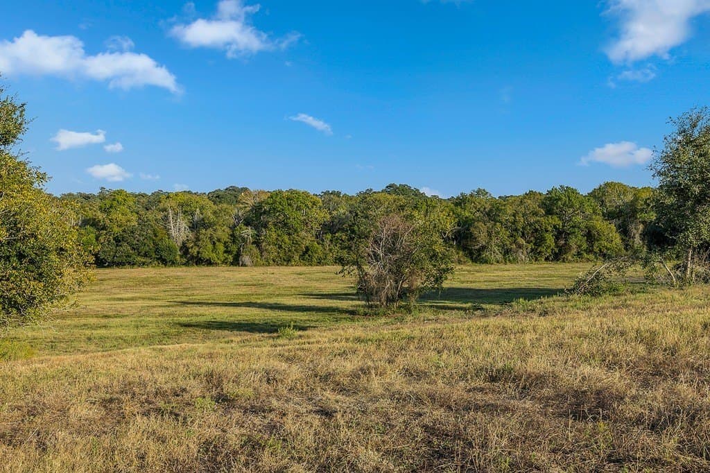 5.43 acres in Fayette County - photo 5