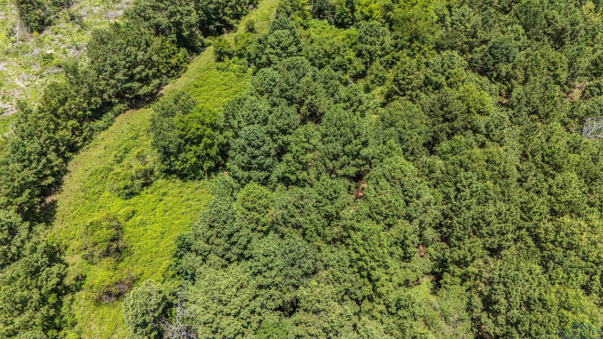 10.39 acres in Rusk County - photo 12