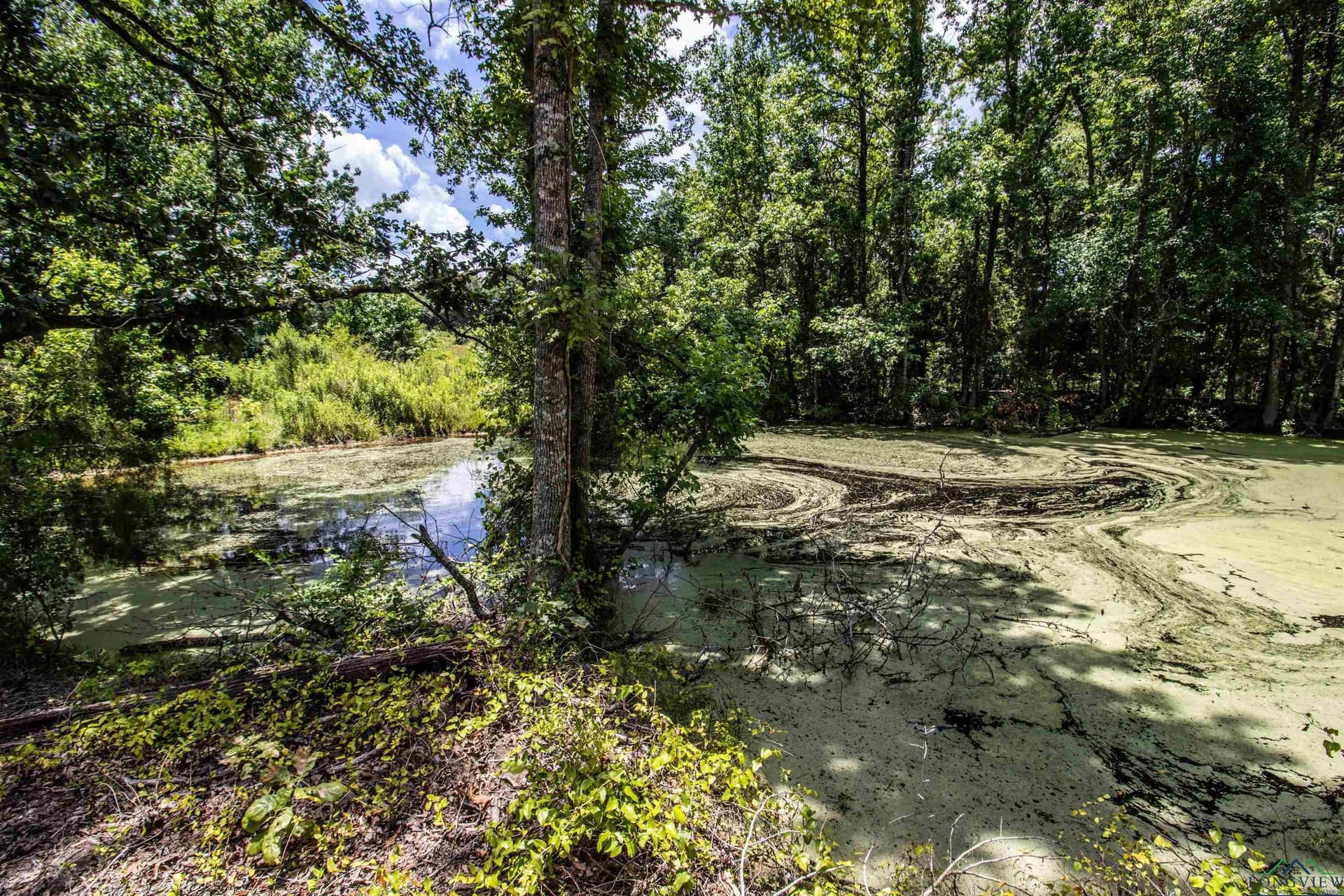 10.39 acres in Rusk County - photo 5