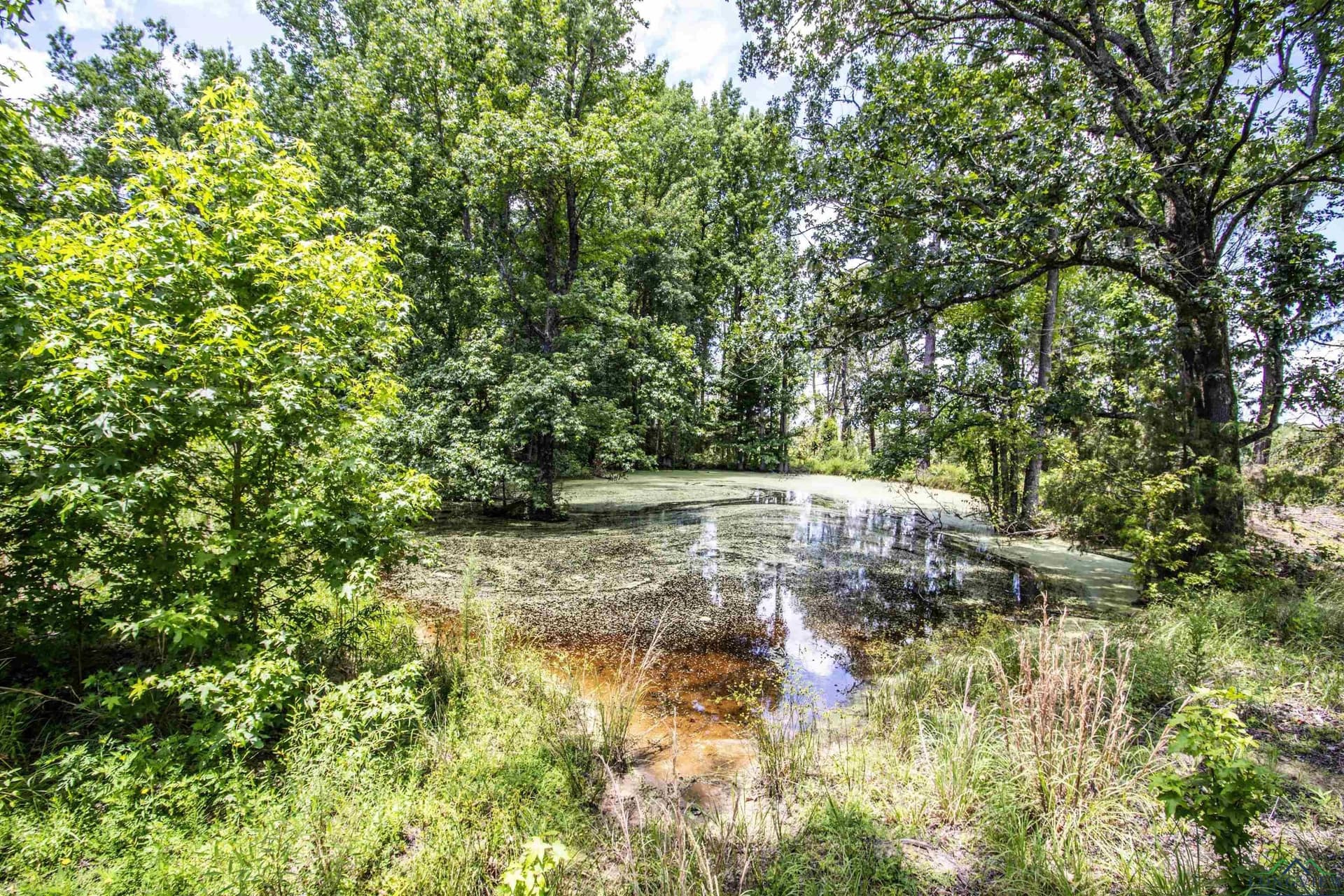 10.39 acres in Rusk County - photo 4