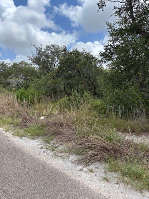 0 acres in Texas County - photo 3