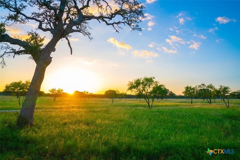 10.83 acres in Blanco County - photo 5