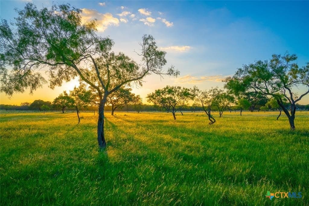 10.83 acres in Blanco County - photo 3